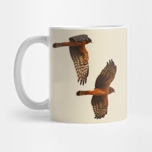 Harrier Hawks Mug